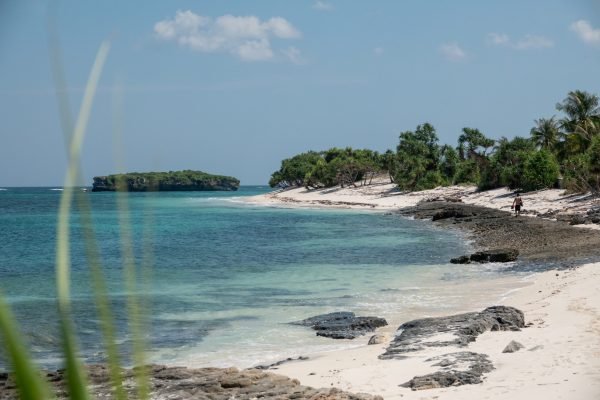 20250502-Additional-293